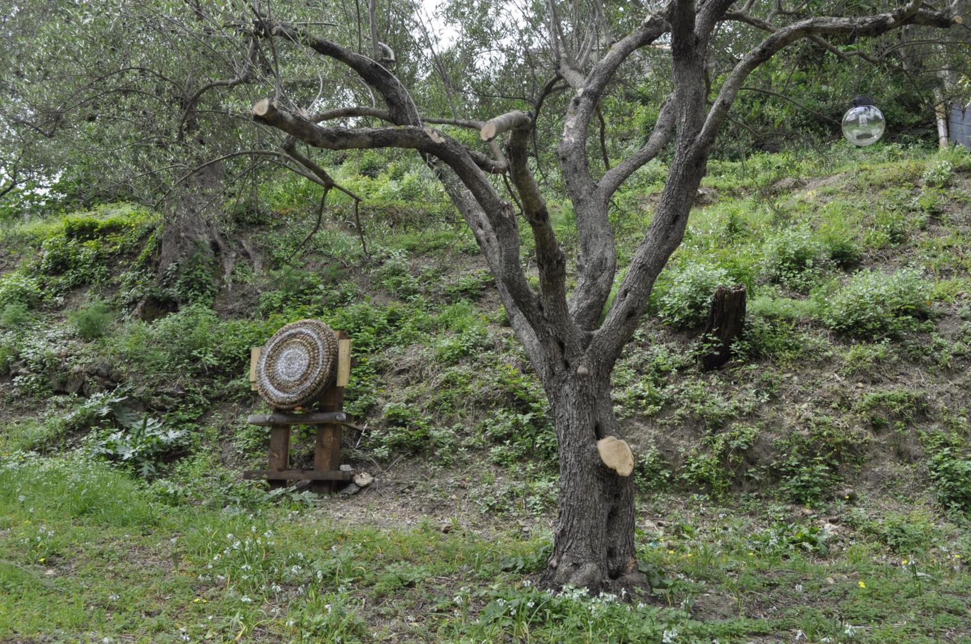 Borgo San Francesco Otel Gioiosa Marea Dış mekan fotoğraf